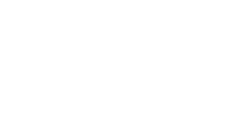 SEBRAE